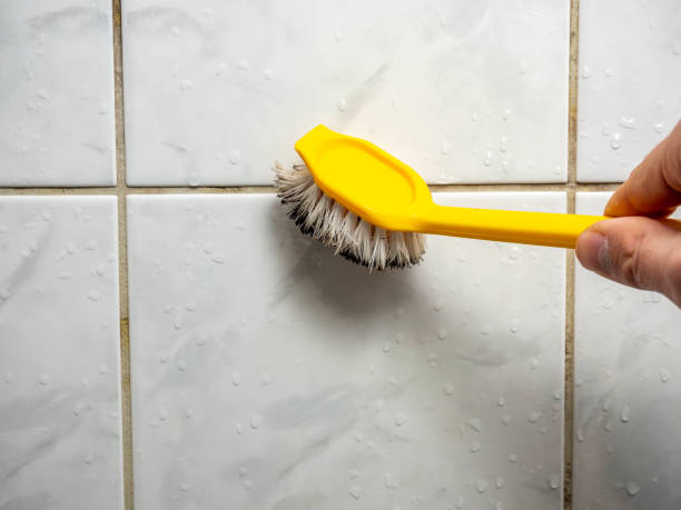 Best Kitchen Mold Remediation in Pulaski, NY