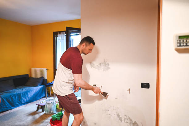 Best Industrial Mold Remediation in Pulaski, NY